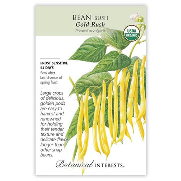 Bean Bush 'Gold Rush'