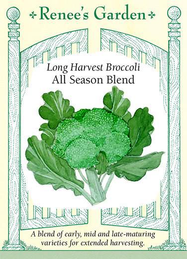 Broccoli 'Long Harvest All Season Blend'