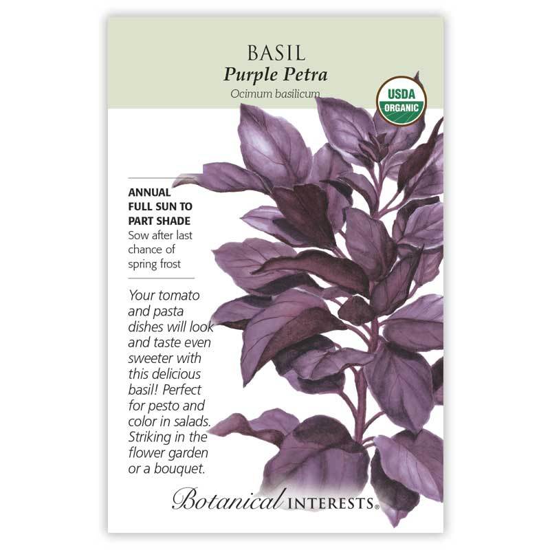 Basil Purple Petra