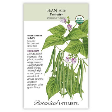 Bean Bush 'Provider'