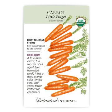 Carrot 'Little Finger'