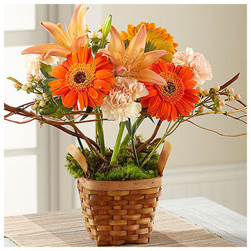 FTD Bright Day Arrangement