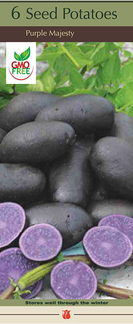 Potatoes 'Purple Majesty'