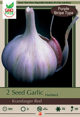 Garlic 'Krandasger Red' Hardneck