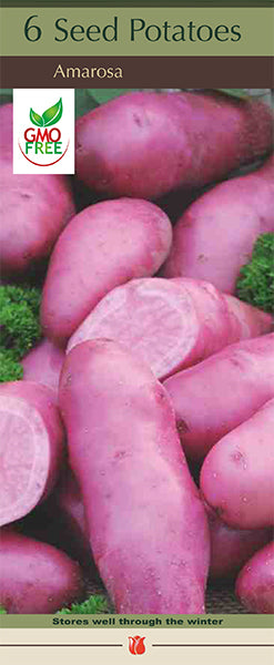 Potatoes 'Amarosa'