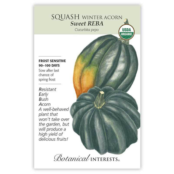 Squash Winter 'Sweet REBA Acorn'