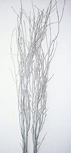 Birch Branch Bundle